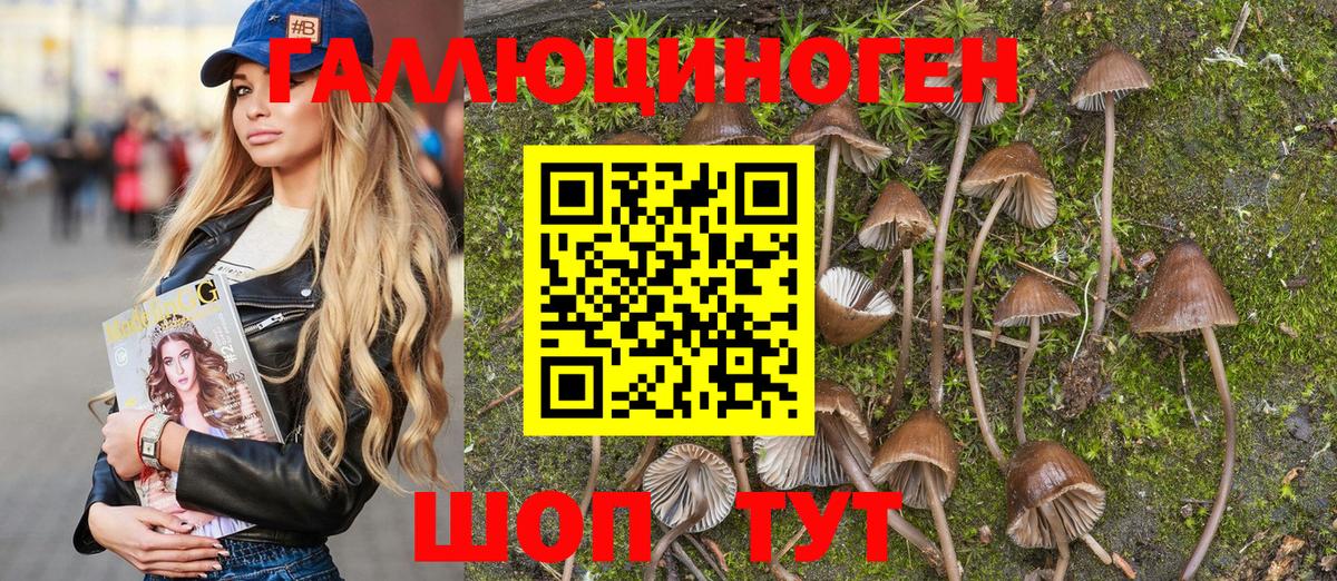 Семилуки  Галлюциногенные грибы Psilocybine cubensis  Вход с VPN 